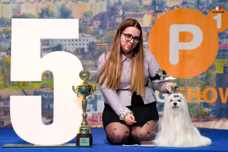 480434463_950059853900715_3075508417179412064_n