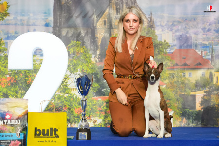 LH103910_hajekphotography.cz