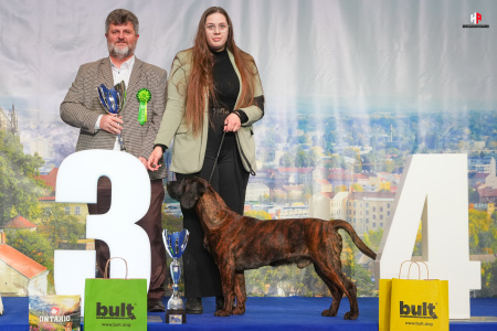 LH104149_hajekphotography.cz