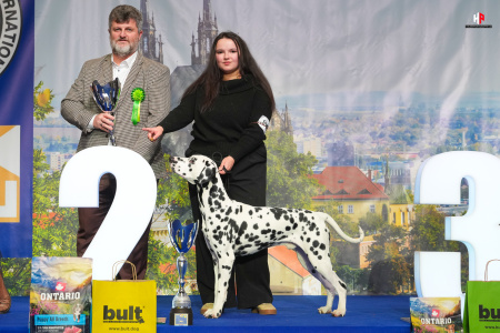 LH104157_hajekphotography.cz