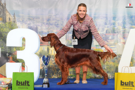 LH104569_hajekphotography.cz