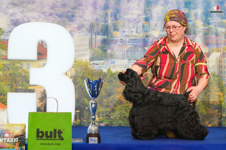 LH104804_hajekphotography.cz