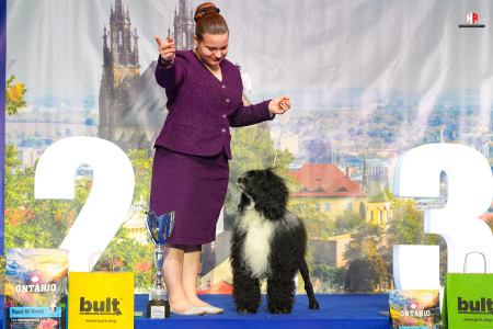 LH104817_hajekphotography.cz