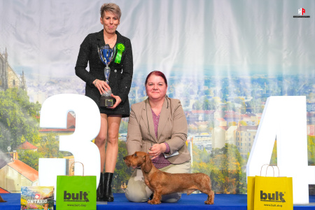 LH107264_hajekphotography.cz