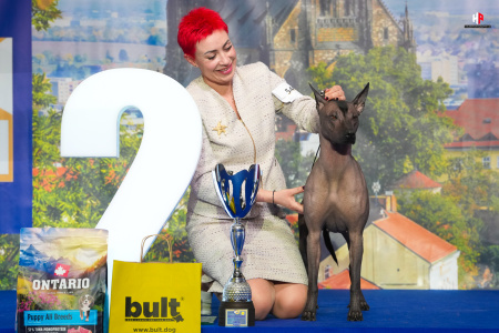 LH107617_hajekphotography.cz