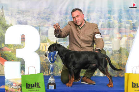 LH107790_hajekphotography.cz