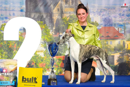 LH109289_hajekphotography.cz