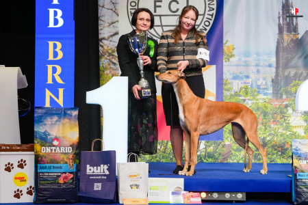 LH109296_hajekphotography.cz