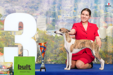 LH109461_hajekphotography.cz