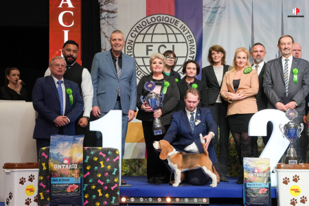 LH206622_hajekphotography.cz