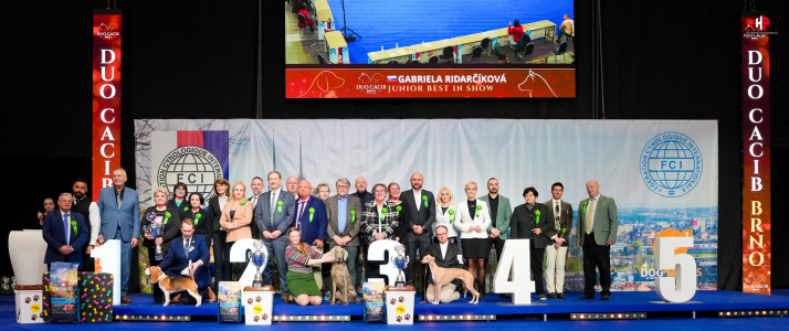 LH206637_hajekphotography.cz