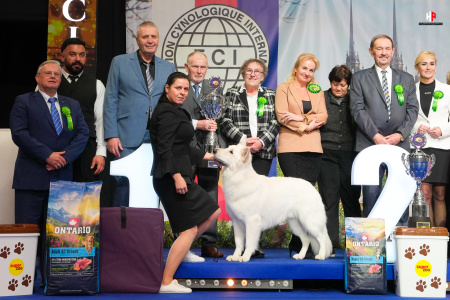 LH206879_hajekphotography.cz