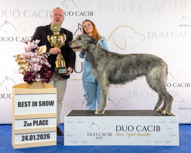 duoCACIB_final_sat (1)