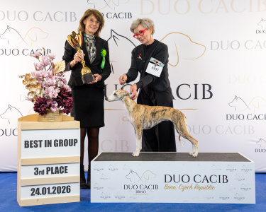 duoCACIB_final_sat (8)