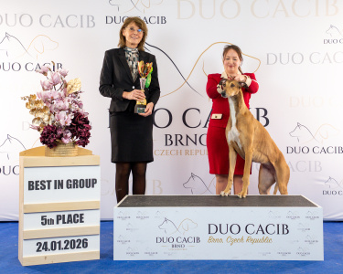 duoCACIB_final_sat (11)