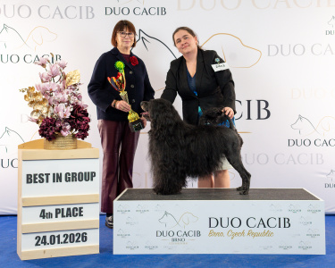 duoCACIB_final_sat (18)