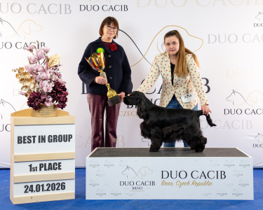 duoCACIB_final_sat (21)