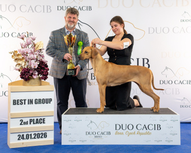 duoCACIB_final_sat (28)