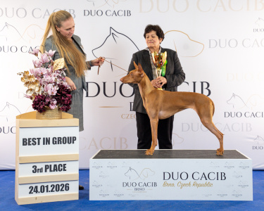 duoCACIB_final_sat (34)