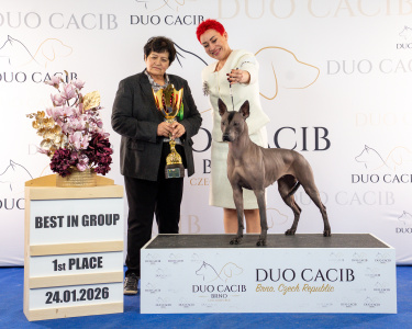 duoCACIB_final_sat (35)