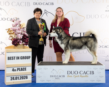 duoCACIB_final_sat (38)