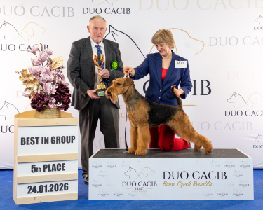 duoCACIB_final_sat (44)