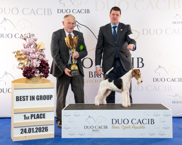 duoCACIB_final_sat (47)