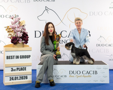 duoCACIB_final_sat (48)