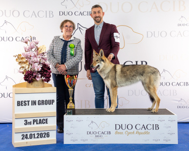 duoCACIB_final_sat (54)