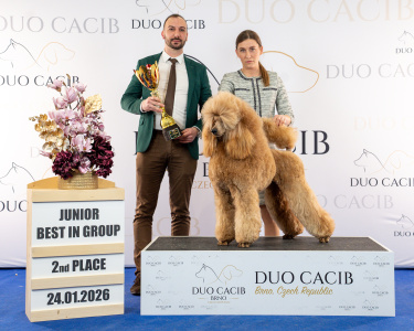 duoCACIB_final_sat (61)