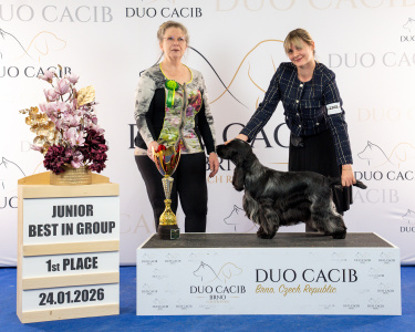 duoCACIB_final_sat (65)