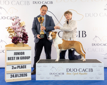 duoCACIB_final_sat (80)