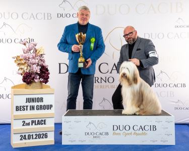 duoCACIB_final_sat (86)