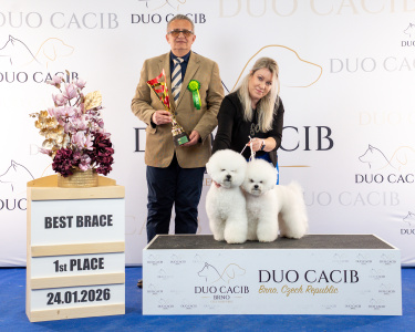 duoCACIB_final_sat (93)