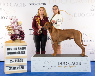 duoCACIB_final_sat (97)