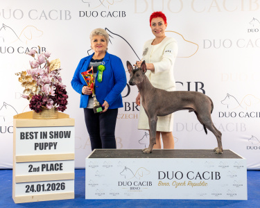 duoCACIB_final_sat (99)