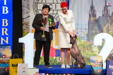 LH100563_hajekphotography.cz