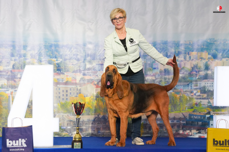 LH101181_hajekphotography.cz