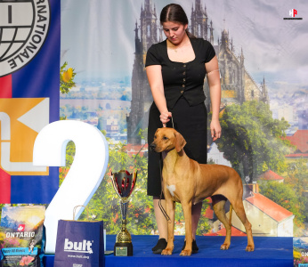 LH101200_hajekphotography.cz