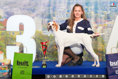 LH101509_hajekphotography.cz