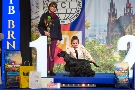 LH102352_hajekphotography.cz