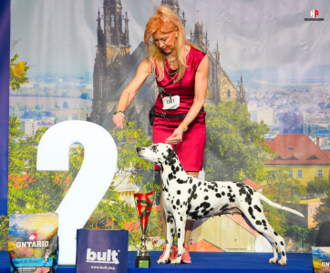 LH102410_hajekphotography.cz