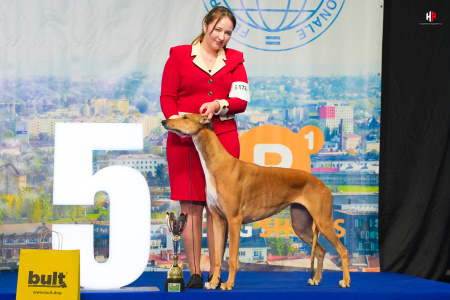 LH103091_hajekphotography.cz