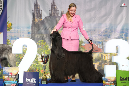 LH103134_hajekphotography.cz