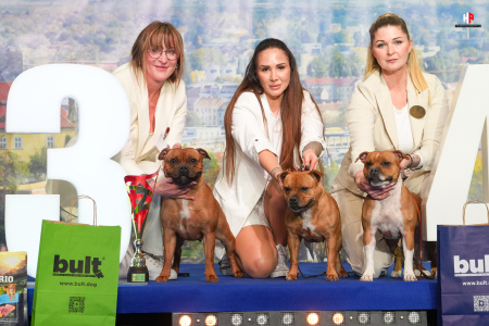 LH104418_hajekphotography.cz