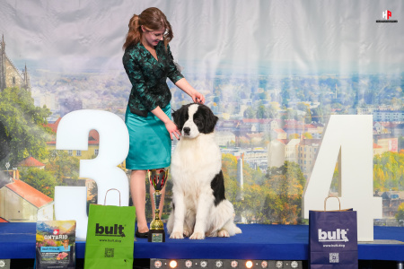 LH105386_hajekphotography.cz