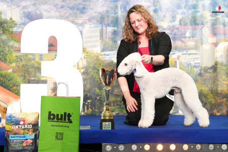 LH105695_hajekphotography.cz