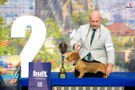 LH105926_hajekphotography.cz