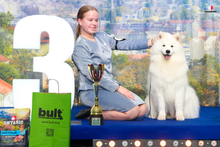 LH106418_hajekphotography.cz