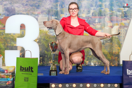 LH107125_hajekphotography.cz